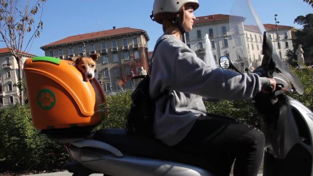 愛犬と一緒にバイクでGO！ペット用トップケース「Pet on Wheels」