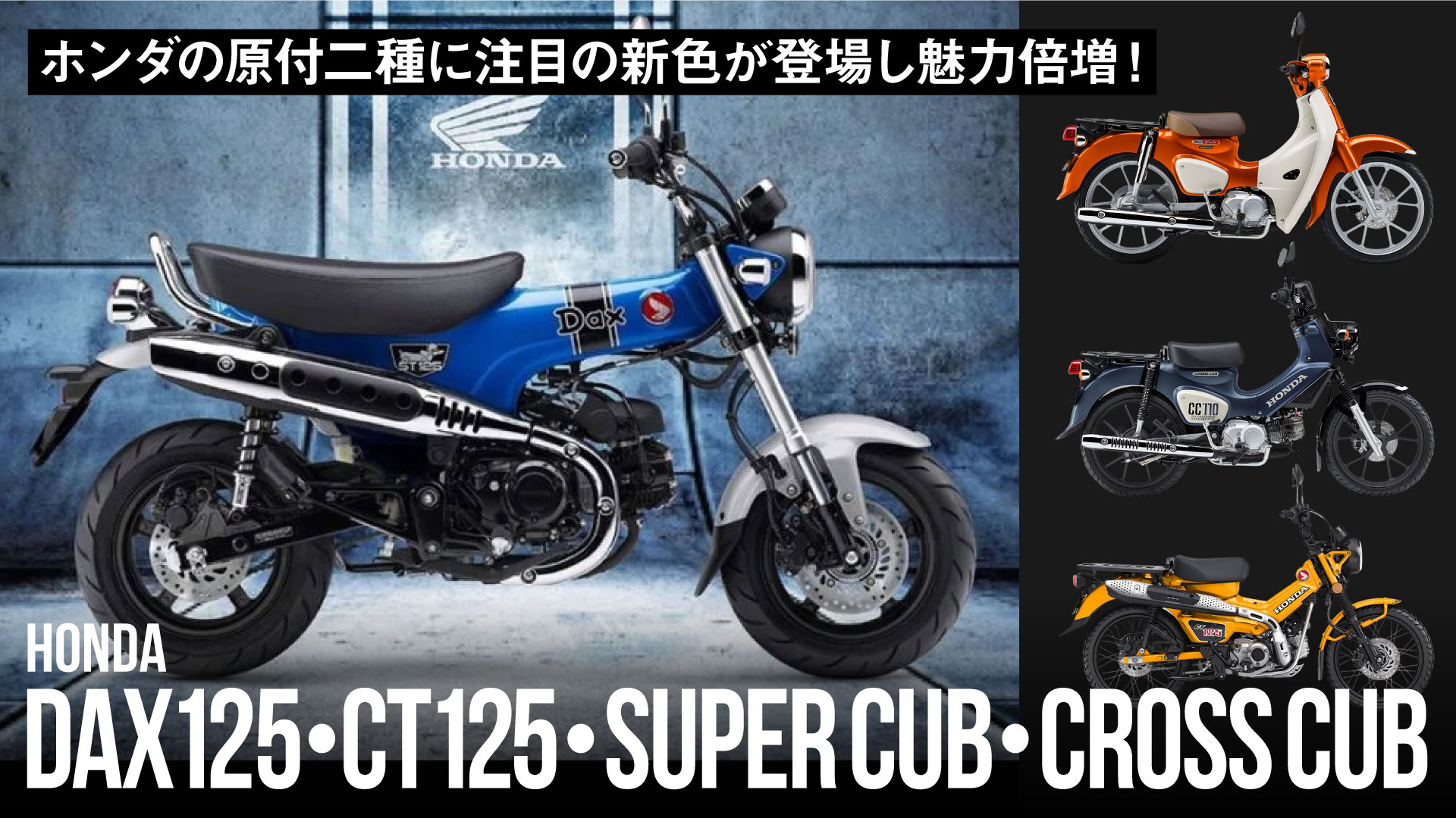 ホンダの原付二種「ダックス・ハンターカブ・クロスカブ・スーパーカブ」に注目の新色が登場し魅力倍増！