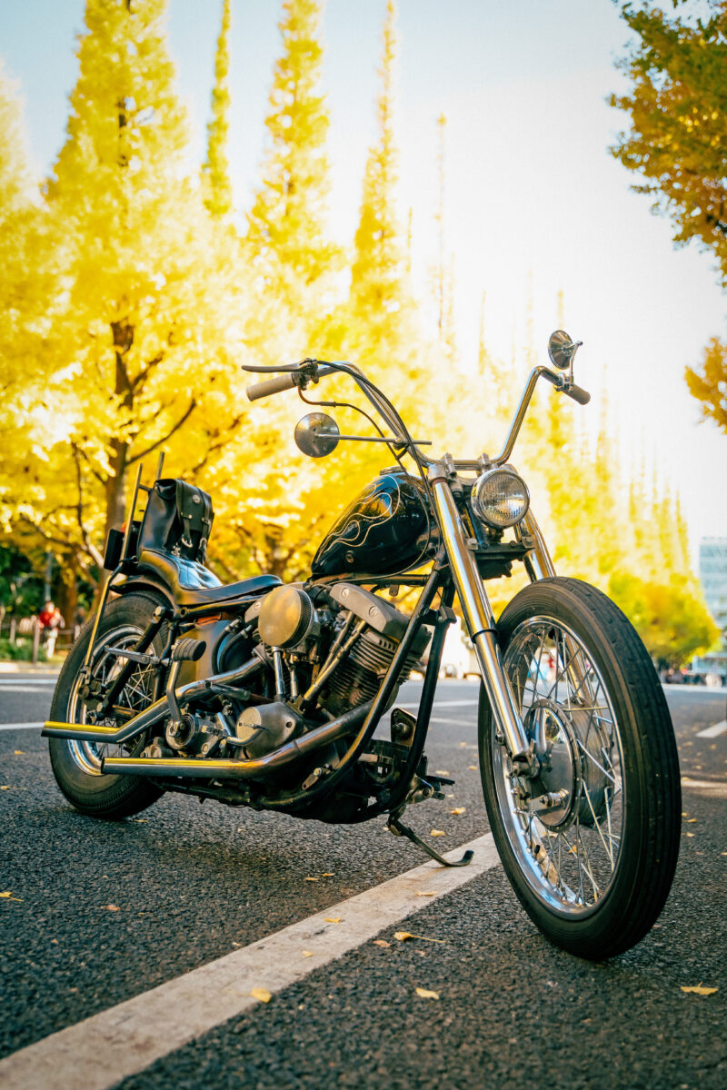 ライフスタイルの指針となるチョッパー