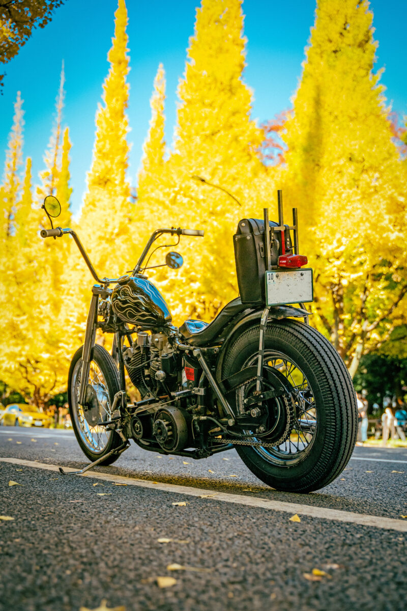 ライフスタイルの指針となるチョッパー