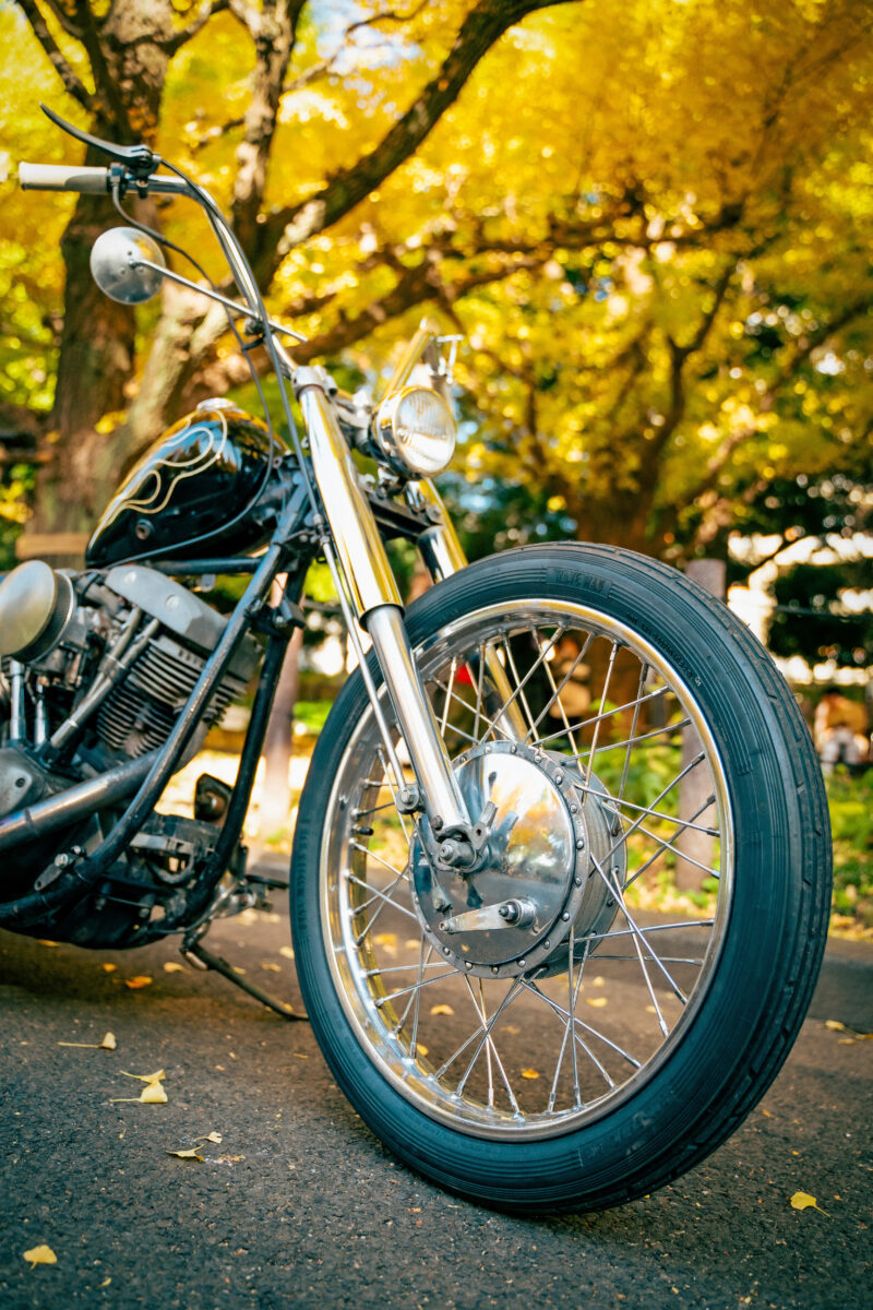 ライフスタイルの指針となるチョッパー